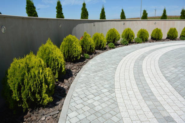 Best Cobblestone Driveway Pavers  in Fremont, MI
